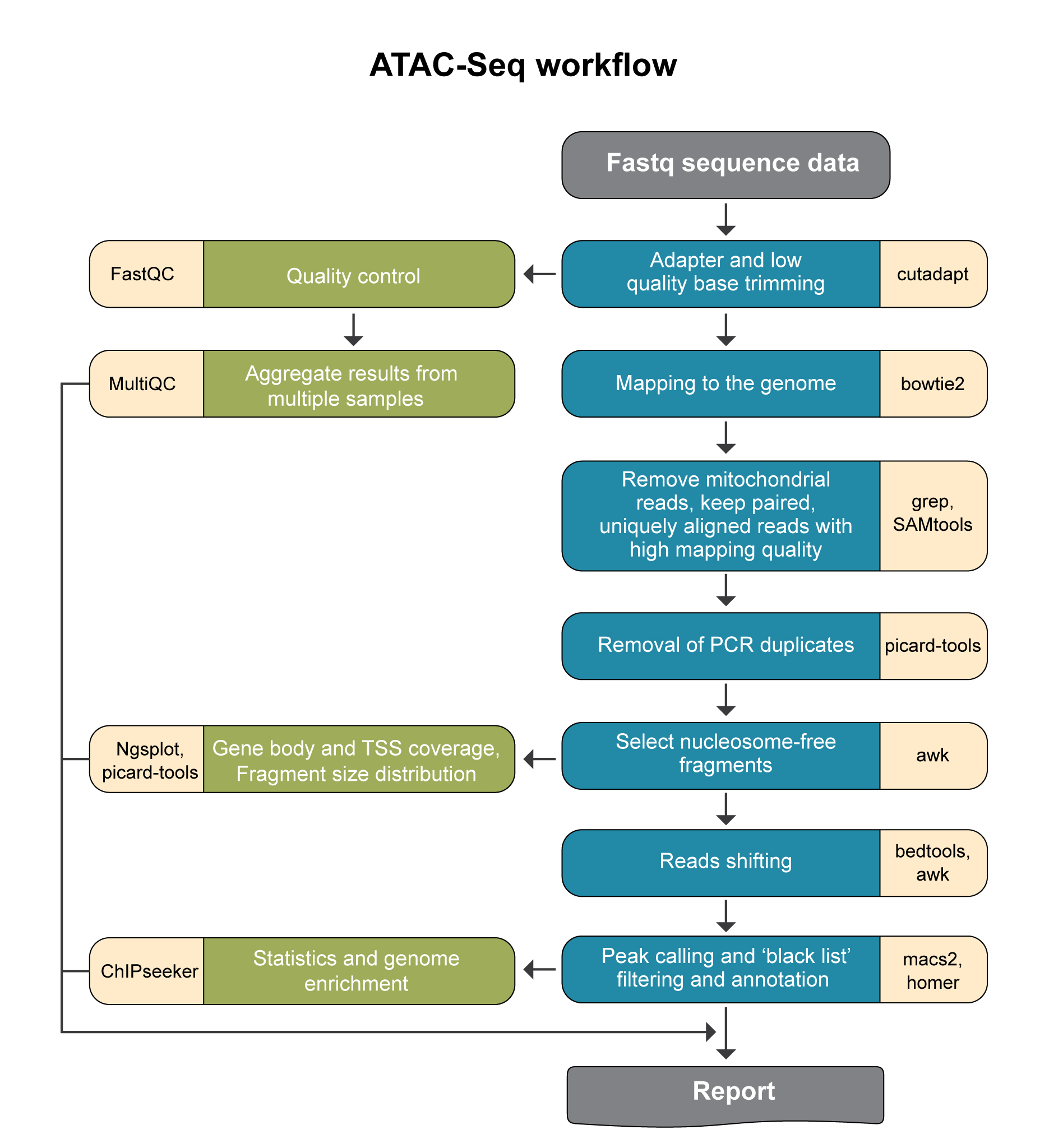 ../../_images/atac-seq_workflow.jpg