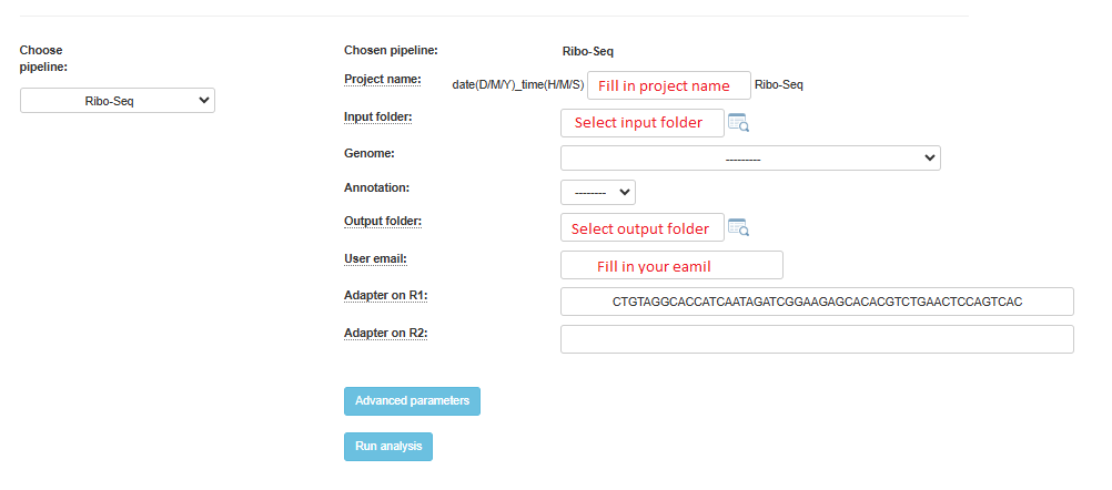 ../../_images/ribo-seq.png